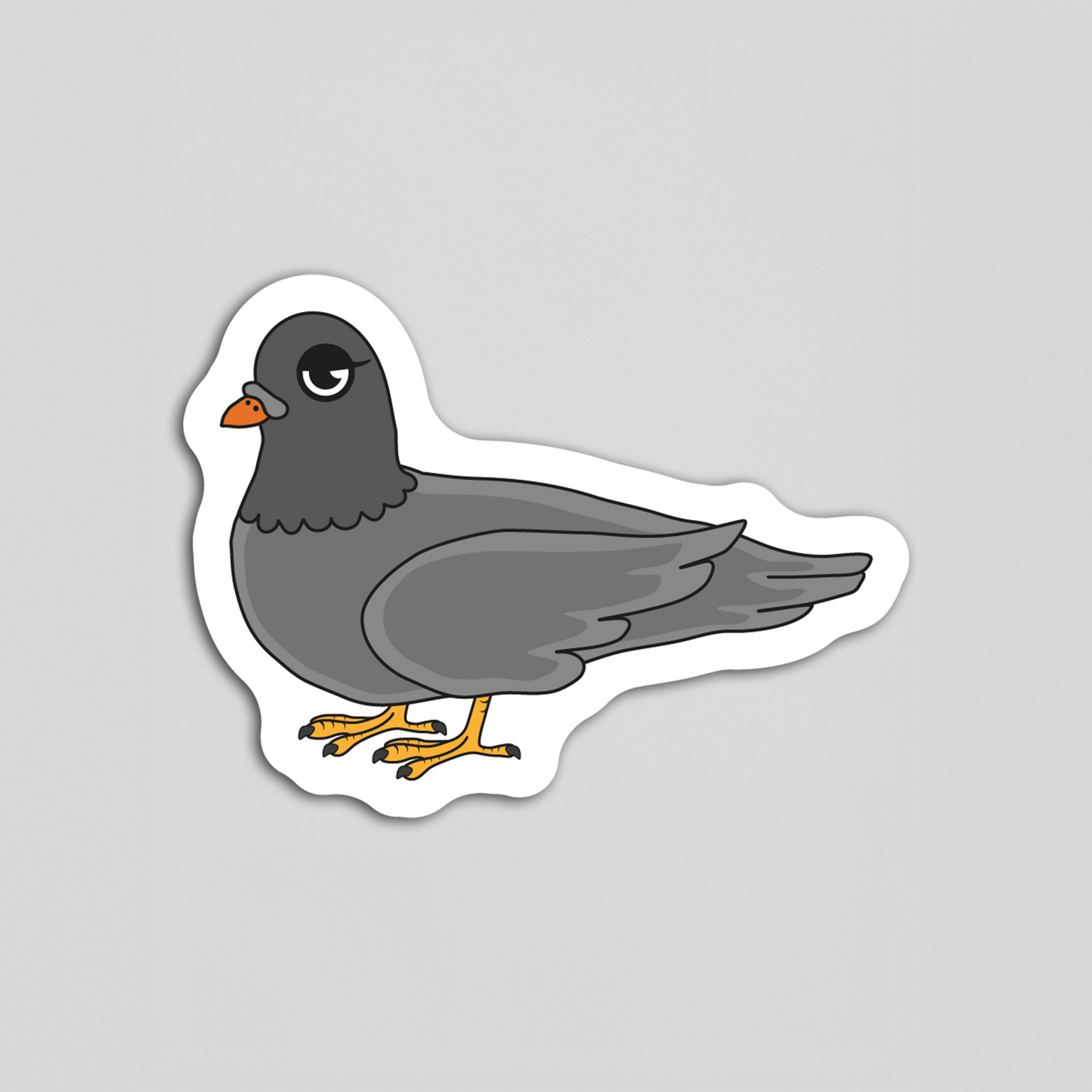 Street Pigeon